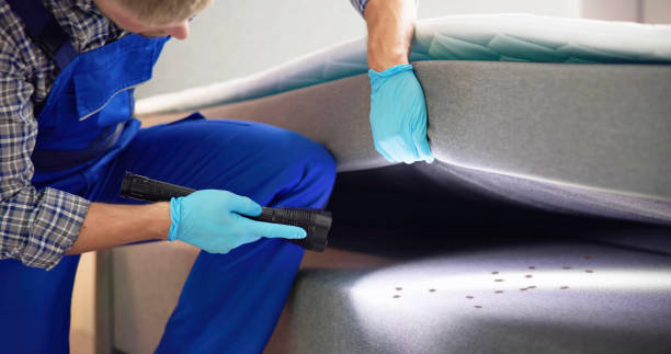 Best Pest Removal Services  in Salisbury, NY